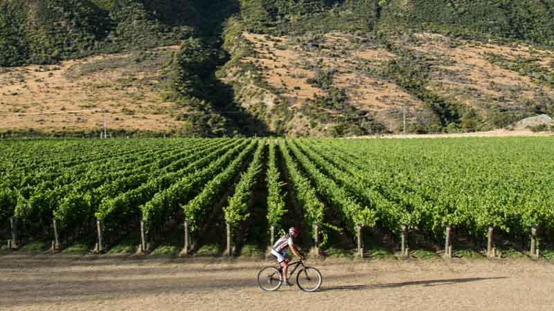 Come and enjoy a self guided ride through one of New Zealand’s best loved trails - The beautiful Gibbston River Trail.